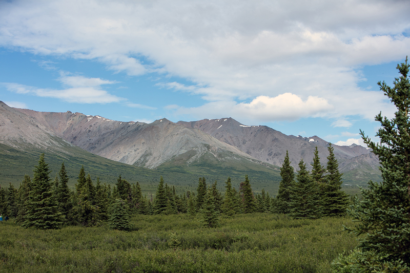 5G7A1259_R1 copy.jpg