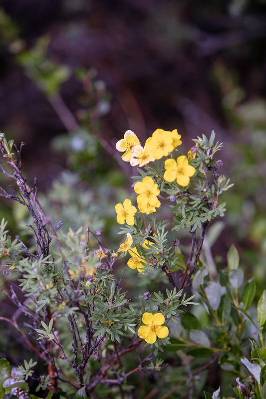 5G7A1269_R1 copy.jpg