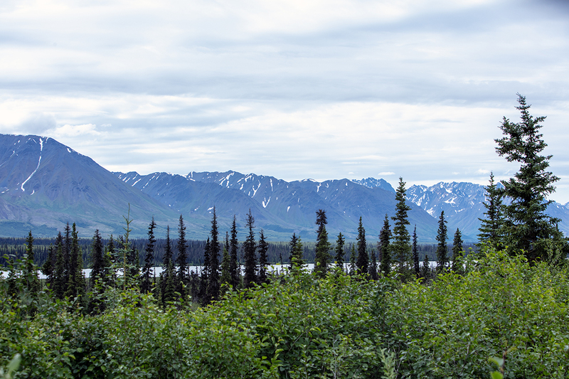 5G7A1306_R1 copy.jpg