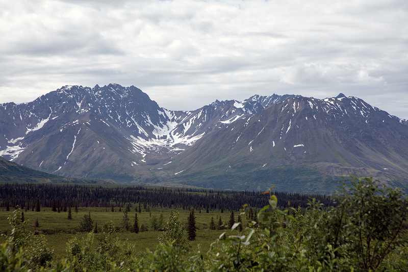 5G7A1326_R1 copy.jpg