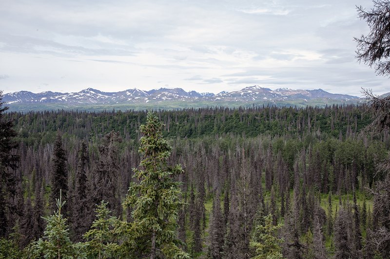 5G7A1329_R1 copy.jpg