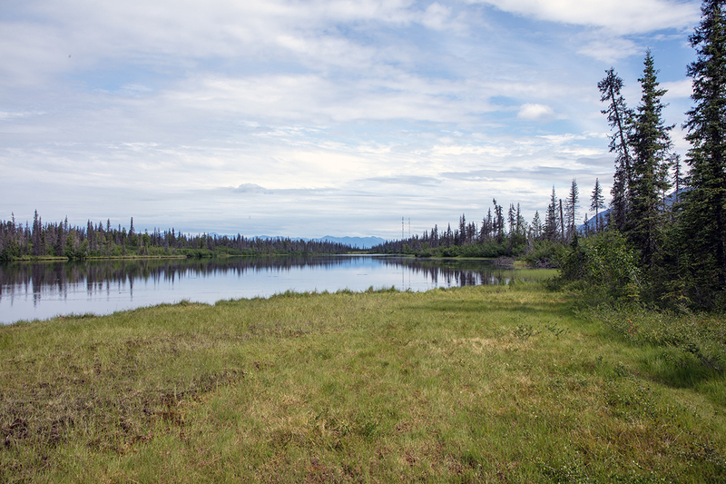 5G7A1342_R1 copy.jpg