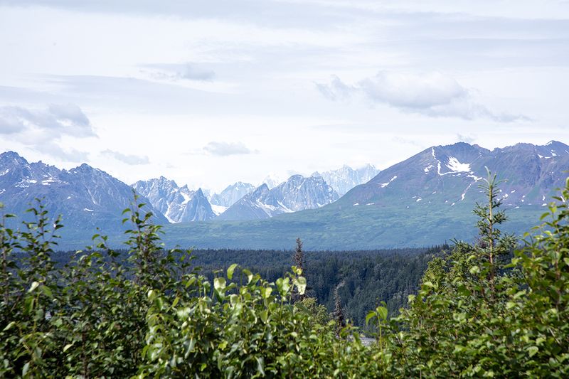 5G7A1368_R1 copy.jpg