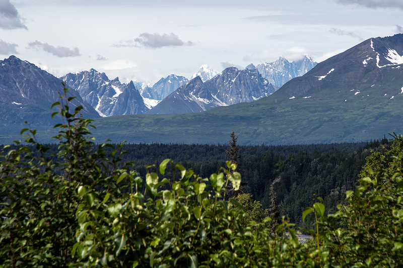 5G7A1368_R2 copy.jpg