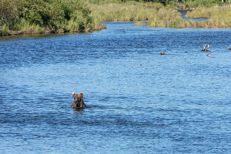 5G7A1582_R1 copy.jpg