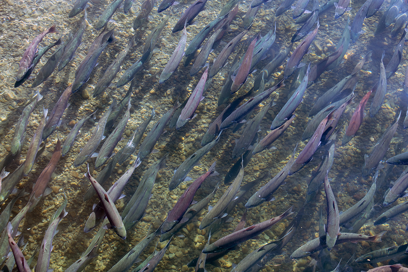 5G7A1584_R1 copy.jpg