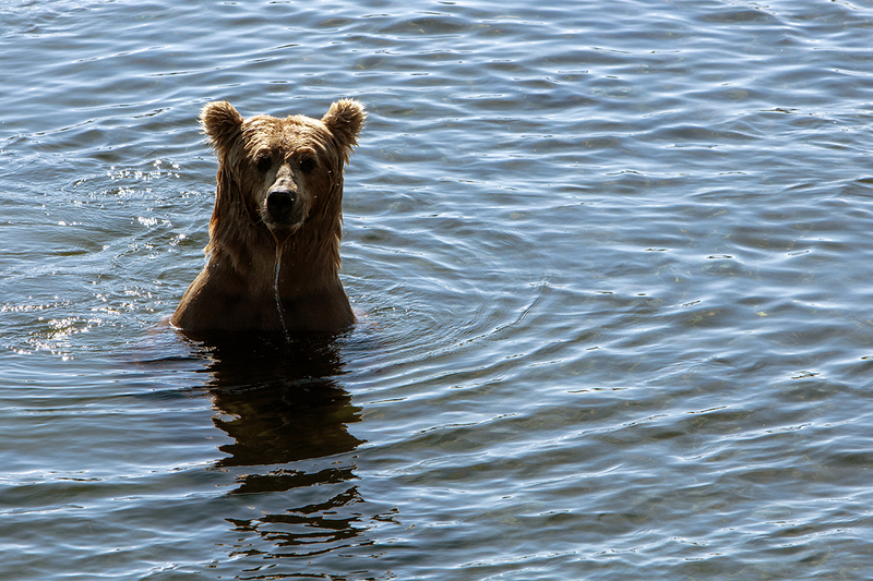 5G7A1590_R1 copy.jpg