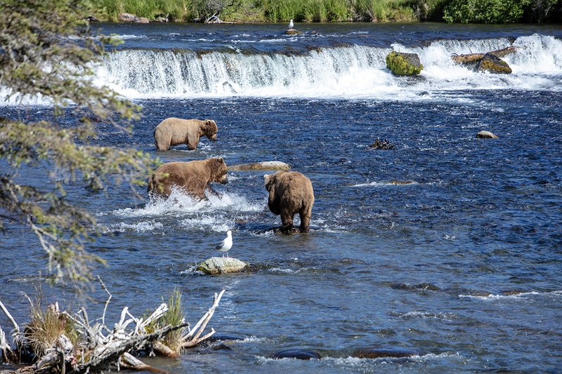 5G7A1605_R1 copy.jpg