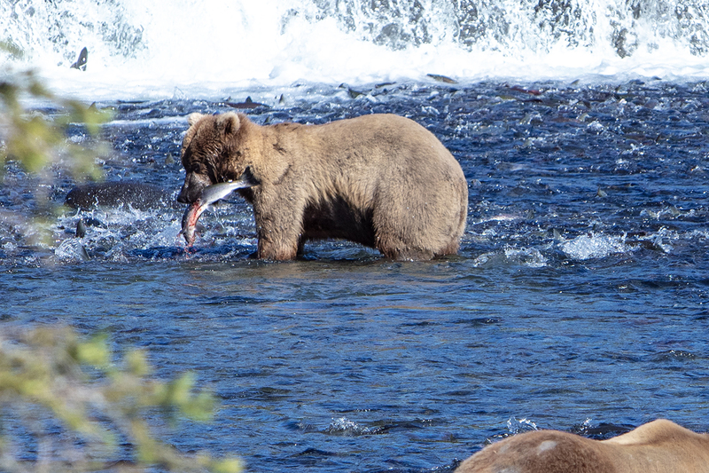 5G7A1621_R1 copy.jpg