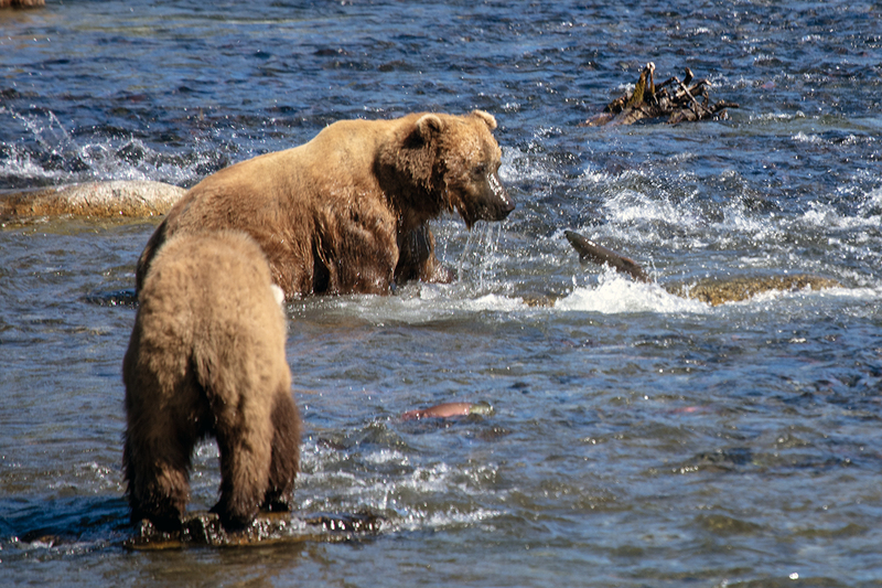 5G7A1674_R1 copy.jpg