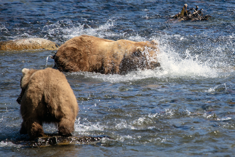 5G7A1675_R1 copy.jpg