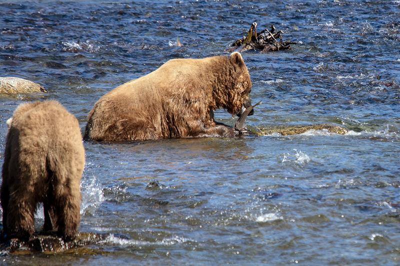 5G7A1685_R1 copy.jpg