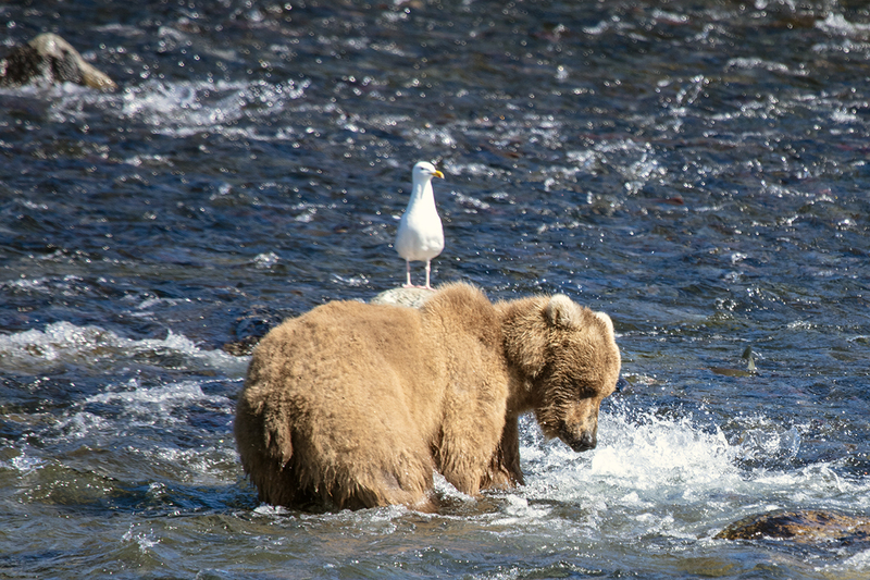 5G7A1752_R1 copy.jpg