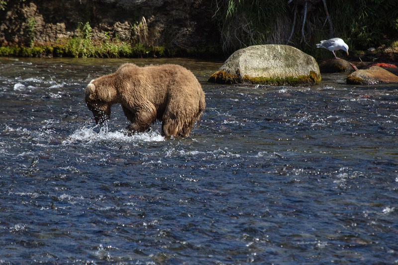 5G7A1806_R1 copy.jpg