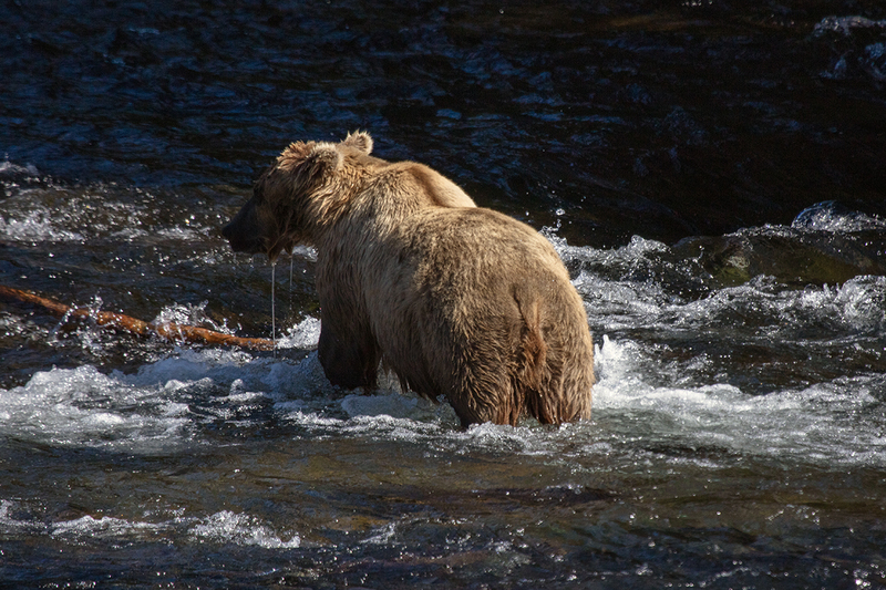 5G7A1824_R1 copy.jpg