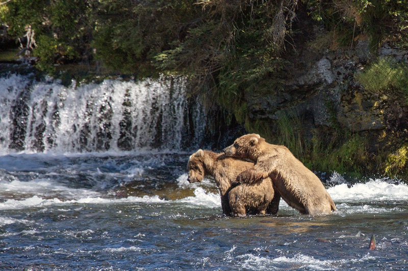 5G7A1829_R1 copy.jpg