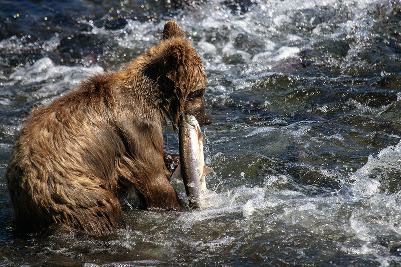 5G7A1864_R1 copy.jpg