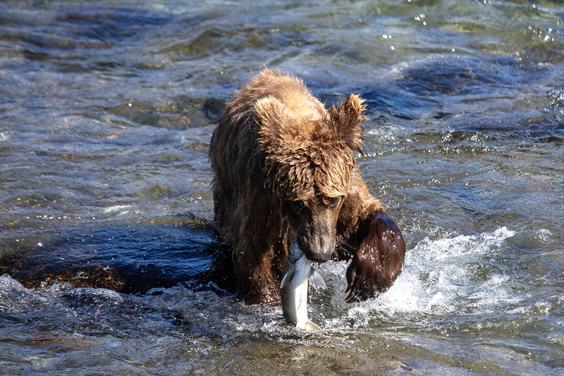 5G7A1874_R1 copy.jpg