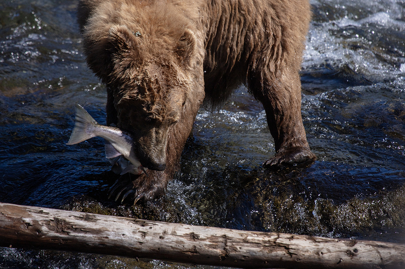 5G7A1880_R1 copy.jpg