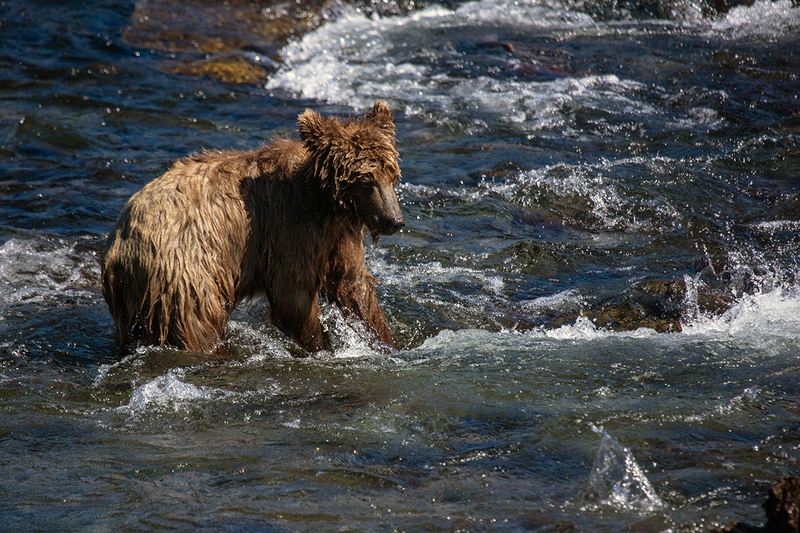 5G7A1903_R1 copy.jpg