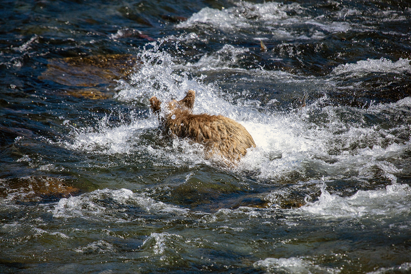 5G7A1908_R1 copy.jpg