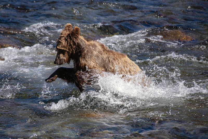 5G7A1911_R1 copy.jpg