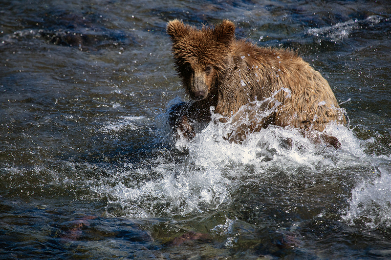 5G7A1921_R1 copy.jpg