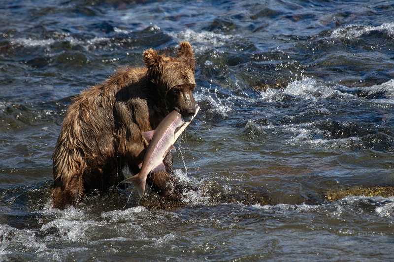 5G7A1937_R1 copy.jpg