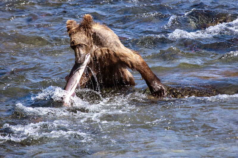 5G7A1939_R1 copy.jpg