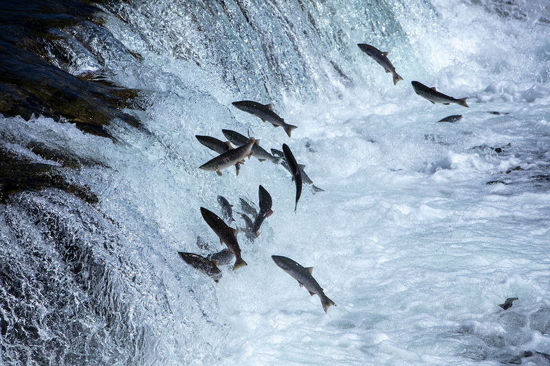 5G7A1988_R1 copy.jpg