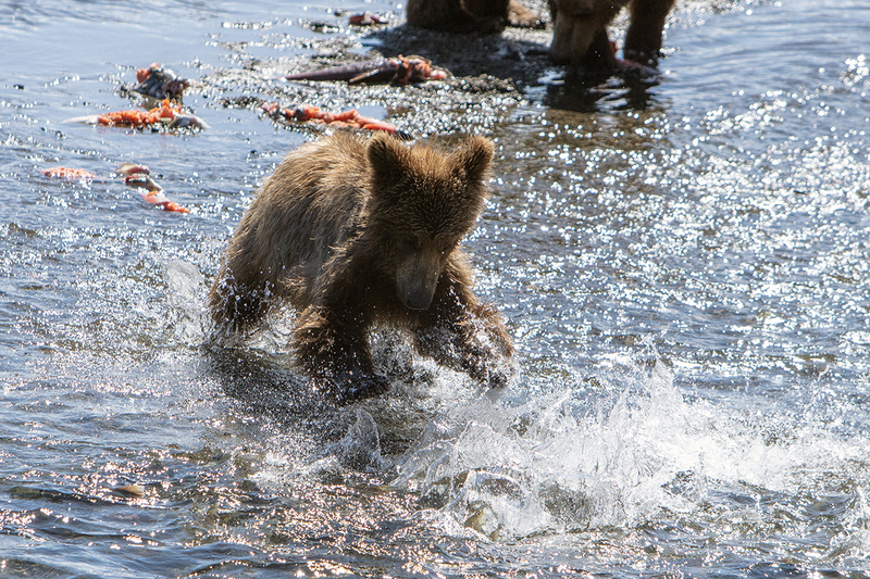 5G7A1996_R1 copy.jpg