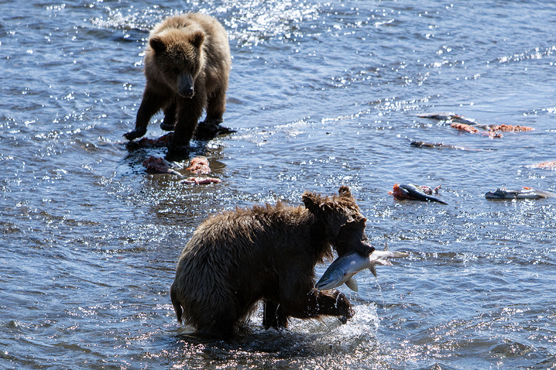 5G7A2042_R1 copy.jpg