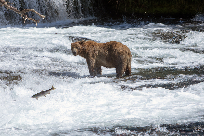 5G7A2117_R1 copy.jpg