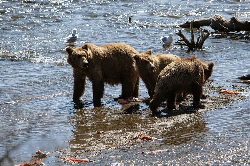 5G7A2125_R1 copy.jpg