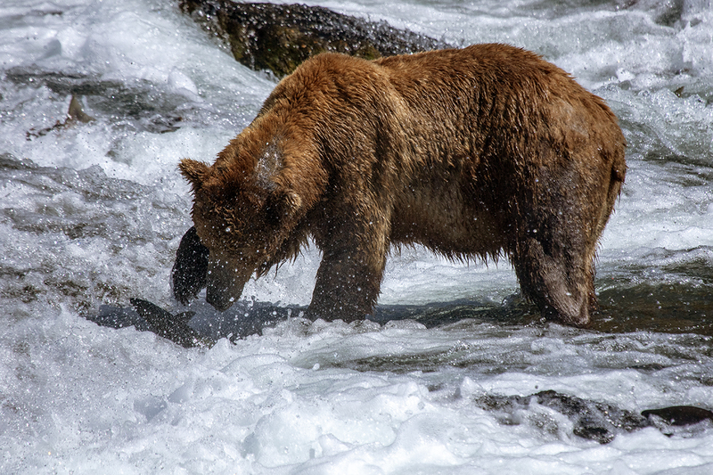 5G7A2199_R1 copy.jpg