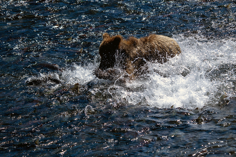 5G7A2222_R1 copy.jpg