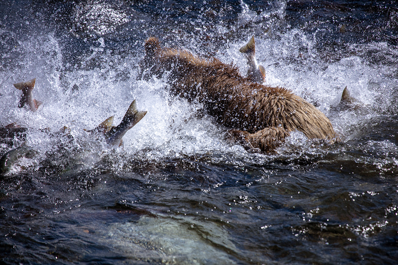 5G7A2261_R1 Copy.jpg