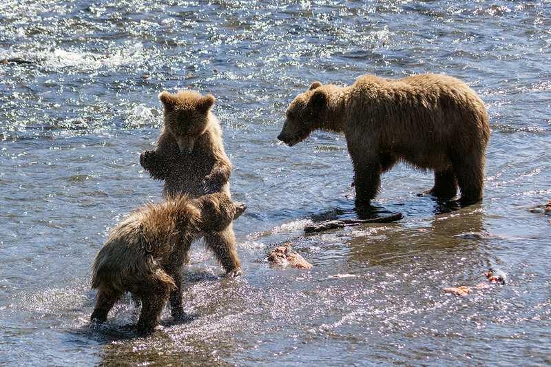 5G7A2297_R1 copy.jpg