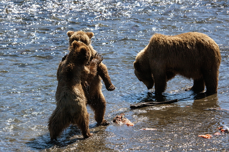 5G7A2308_R1 copy.jpg