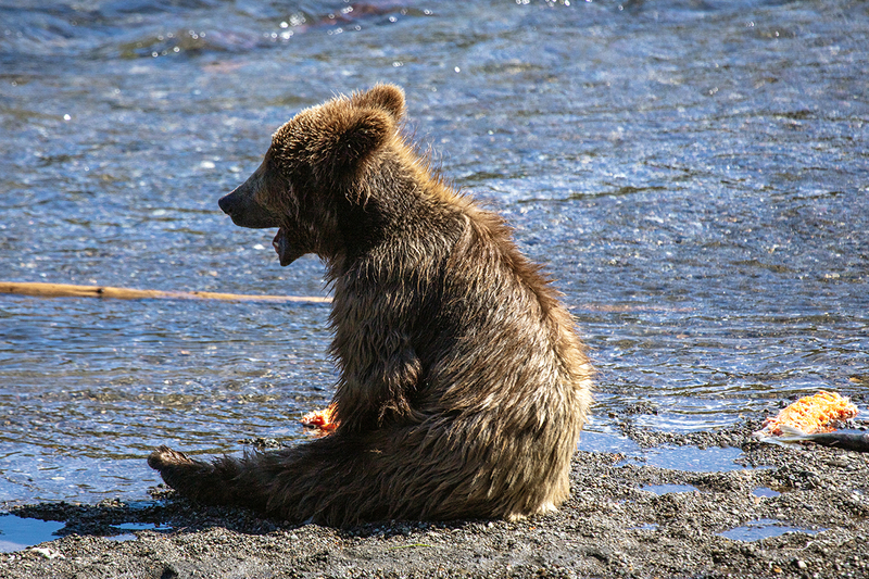 5G7A2352_R1 copy.jpg