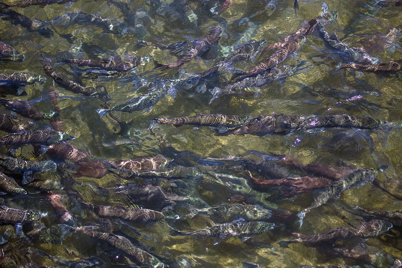 5G7A2379_R1 copy.jpg