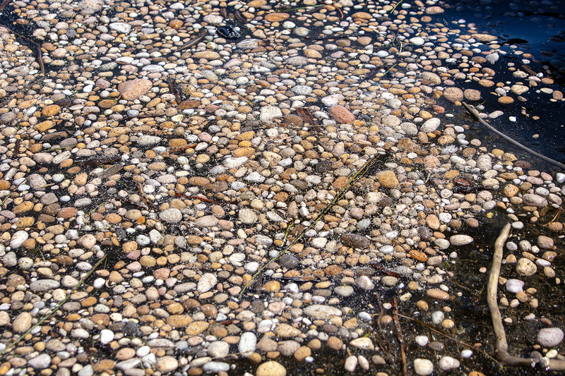 5G7A2402_R1 copy.jpg