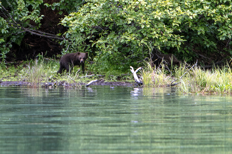 5G7A2563_R1 copy.jpg