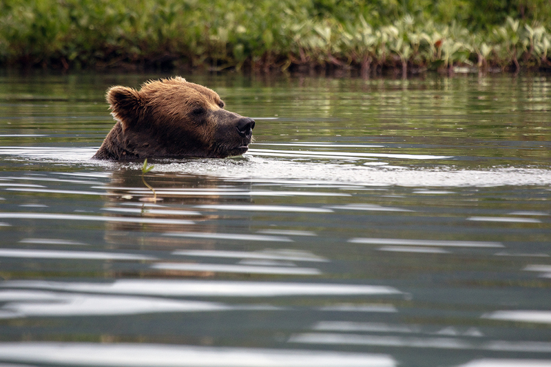 5G7A2585_R1 copy.jpg