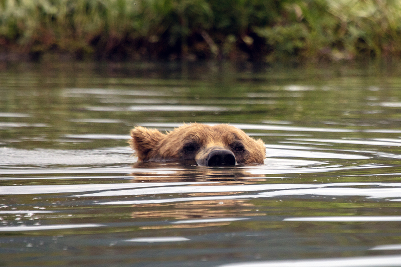 5G7A2596_R1 copy.jpg