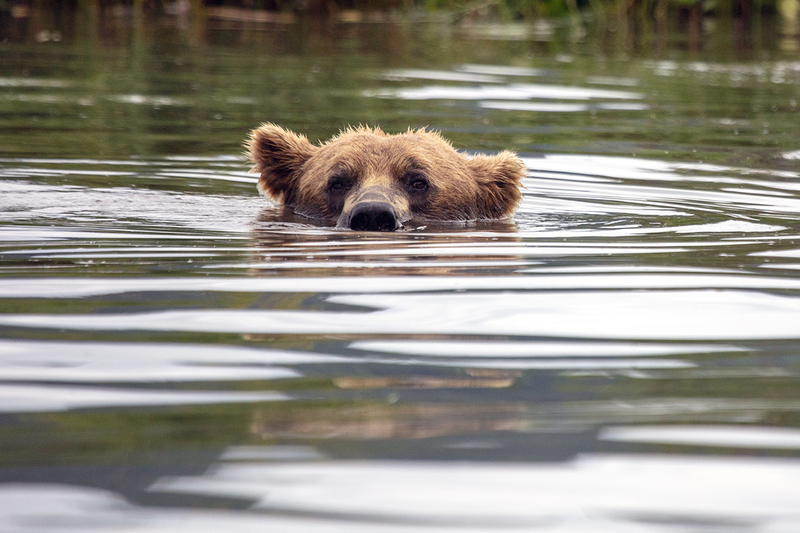 5G7A2608_R1 copy.jpg