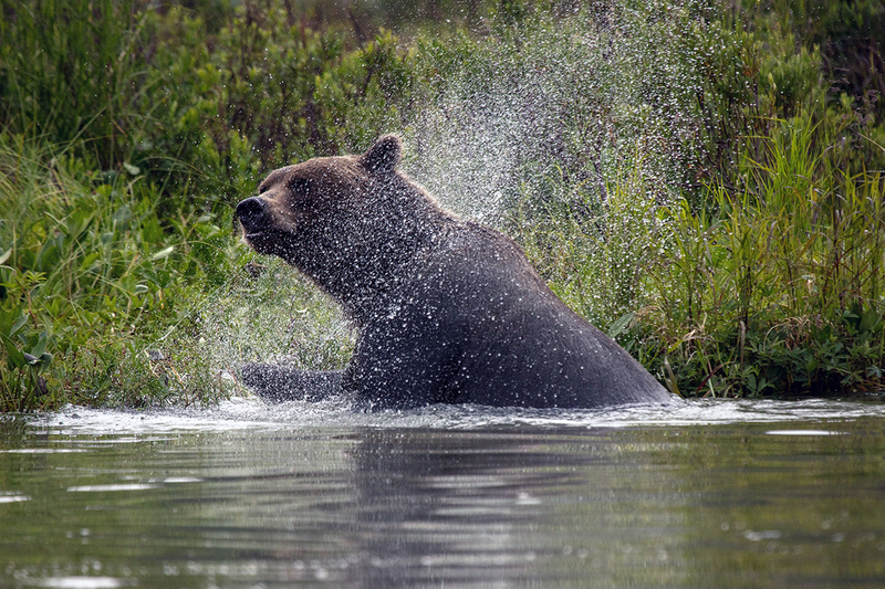 5G7A2620_R1 copy.jpg