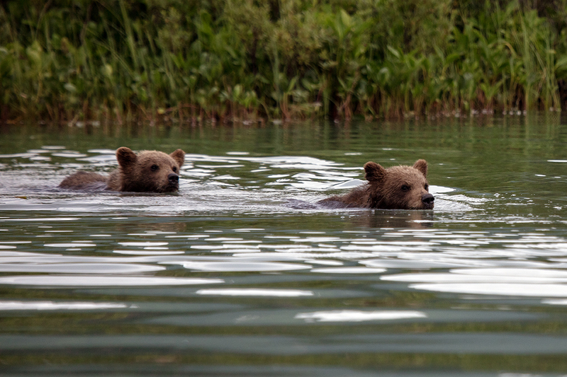 5G7A2630_R1 copy.jpg