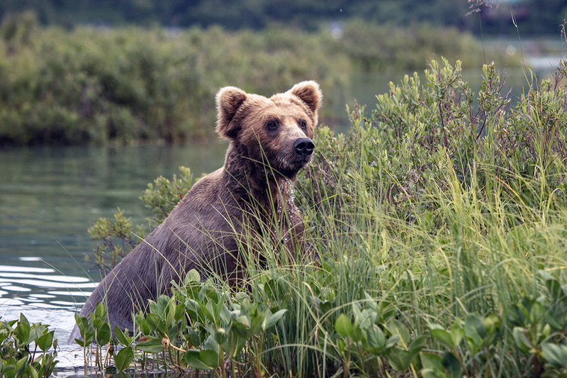 5G7A2635_R1 copy.jpg