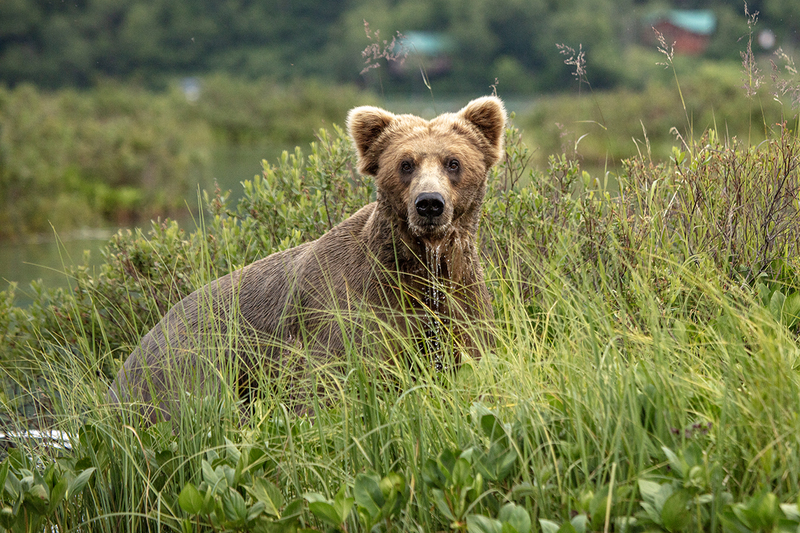 5G7A2638_R1 copy.jpg